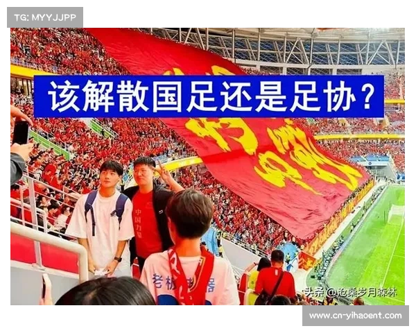 巴西足协启动桑苗计划 亚马逊雨林足球学校获千万资金支持